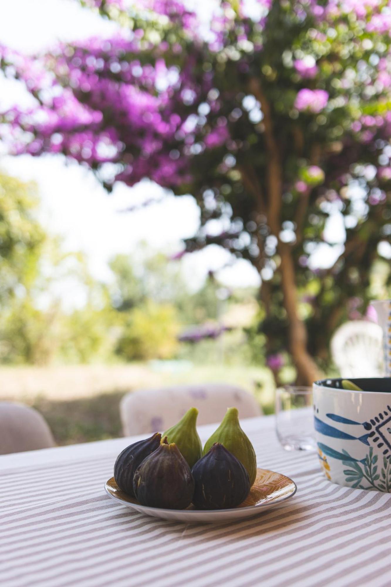 Villa Mariposa Civitanova Marche Zewnętrze zdjęcie
